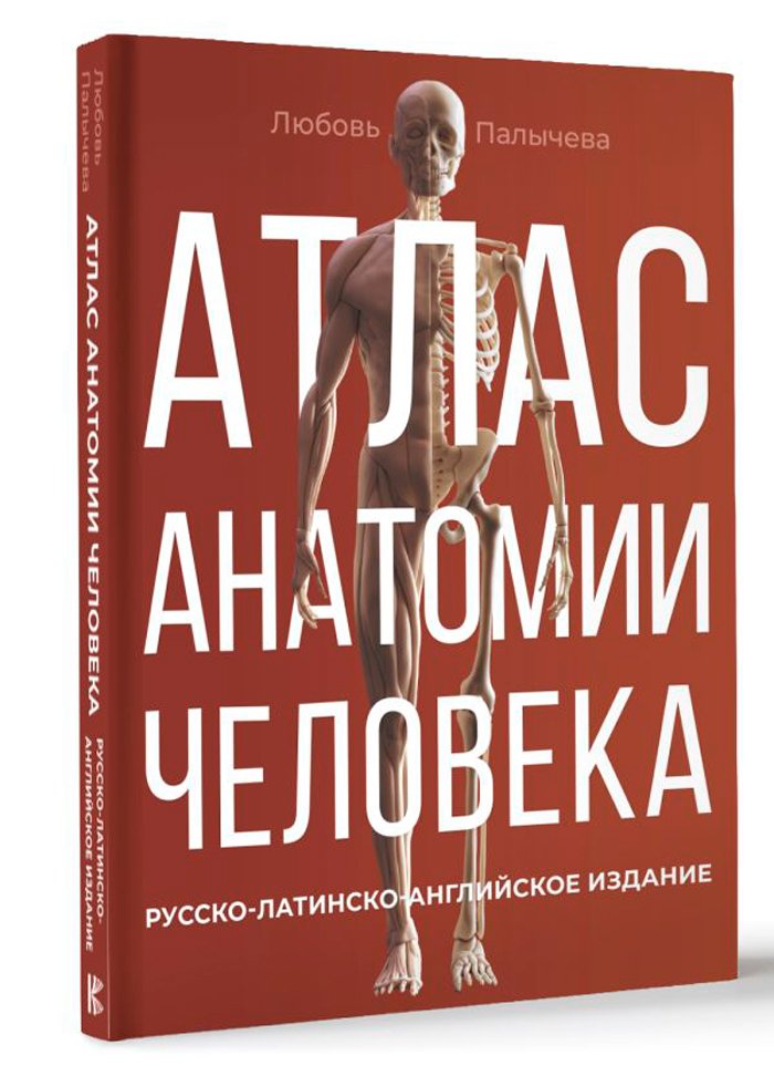 Атлас анатомии человека: Русско-латинско-английское издание