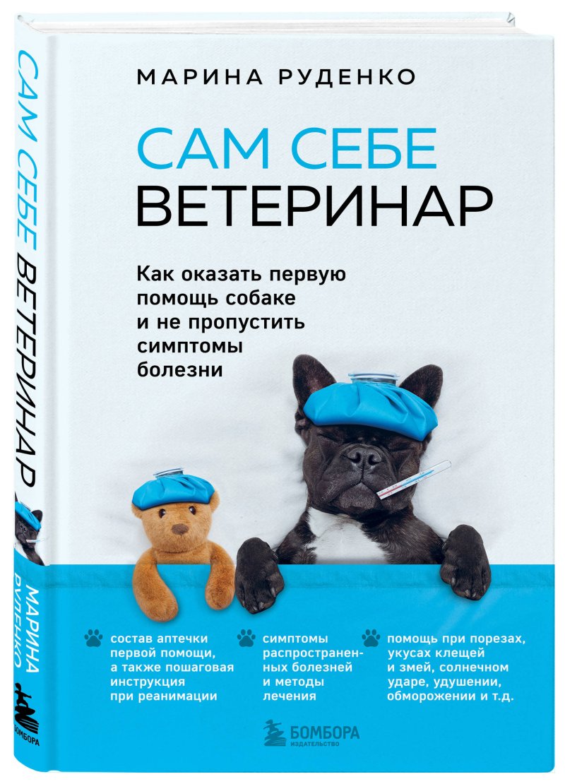 Сам себе ветеринар: Как оказать первую помощь собаке и не пропустить симптомы болезни