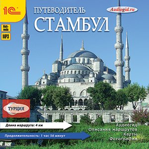 Путеводитель. Стамбул (цифровая версия) (Цифровая версия)