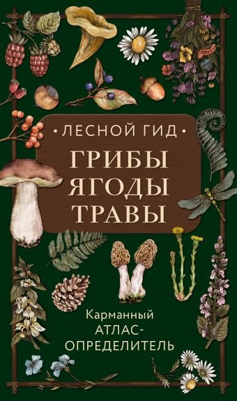 Семенова Людмила Семеновна Лесной гид: грибы, ягоды, травы. Карманный атлас-определитель