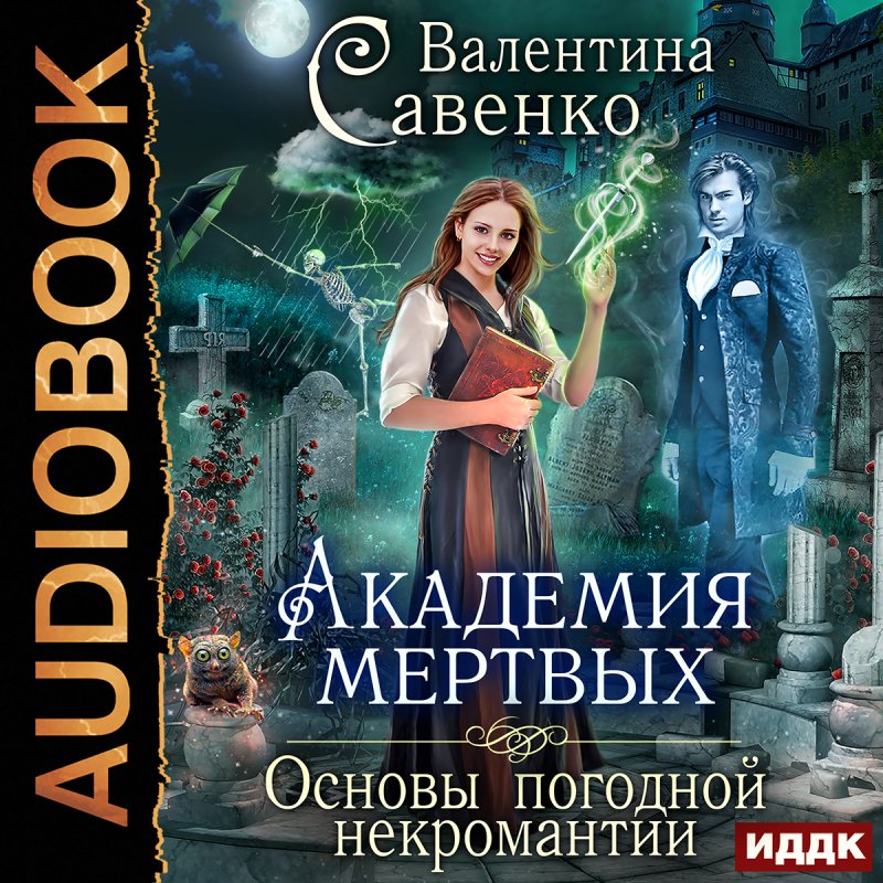 Академия мертвых: Основы погодной некромантии (цифровая версия) (Цифровая версия)